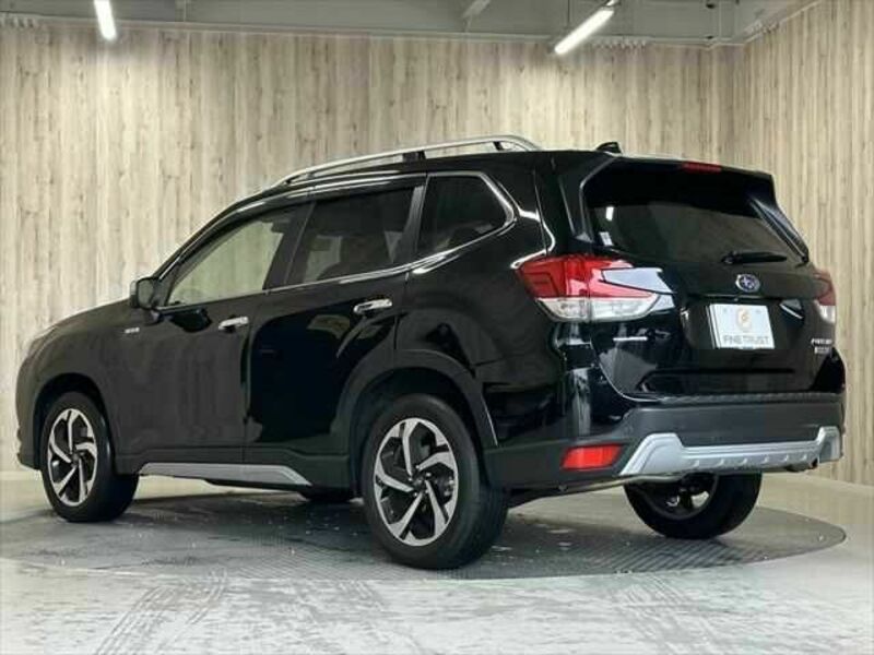 FORESTER-19