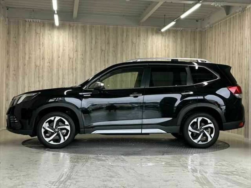 FORESTER-20