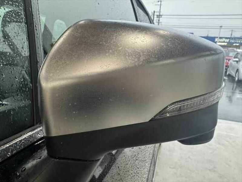 FORESTER-25