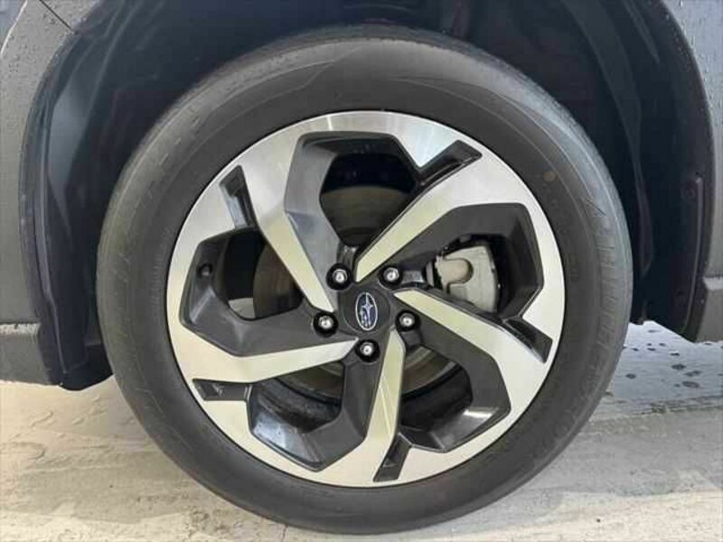FORESTER-29