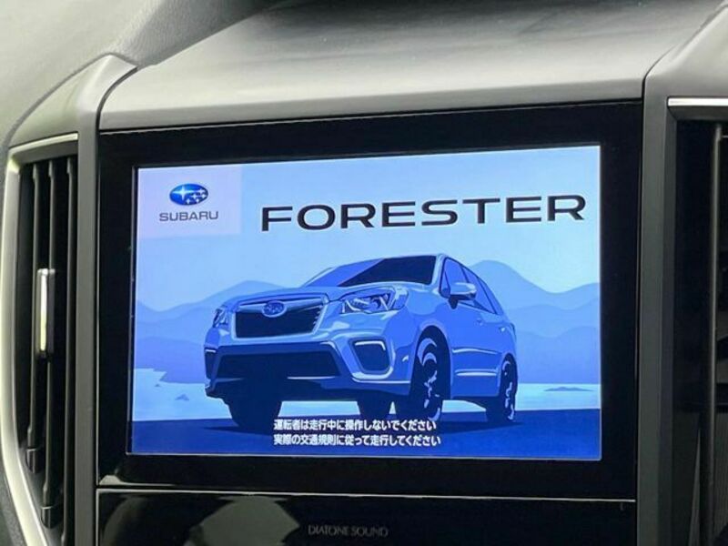 FORESTER-2