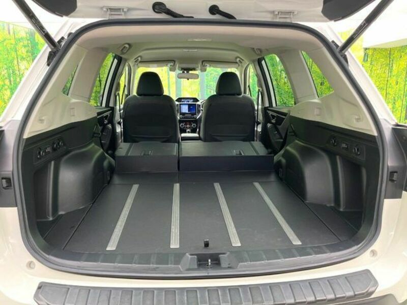 FORESTER-10