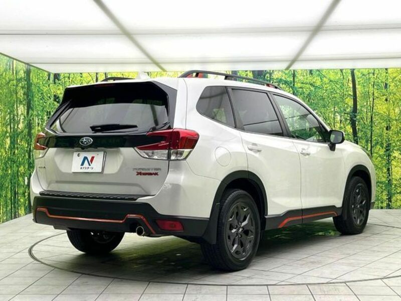 FORESTER-17