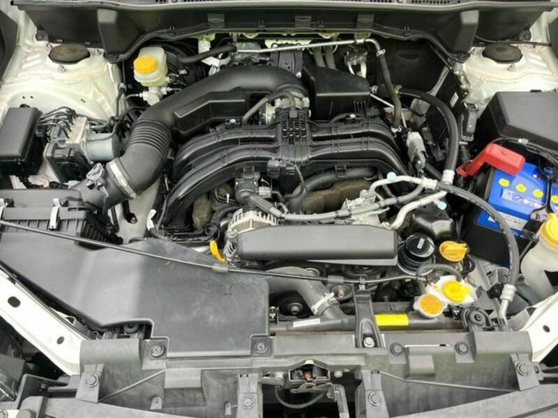FORESTER-18