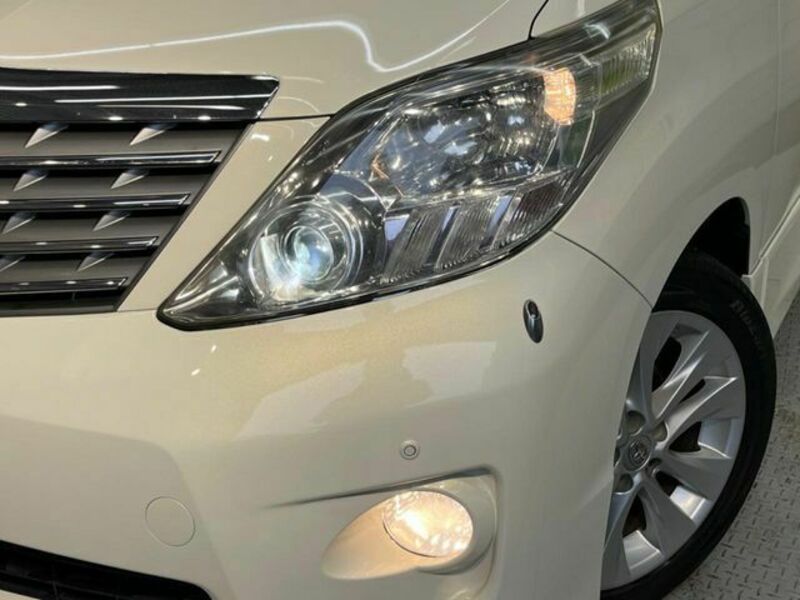 ALPHARD-10