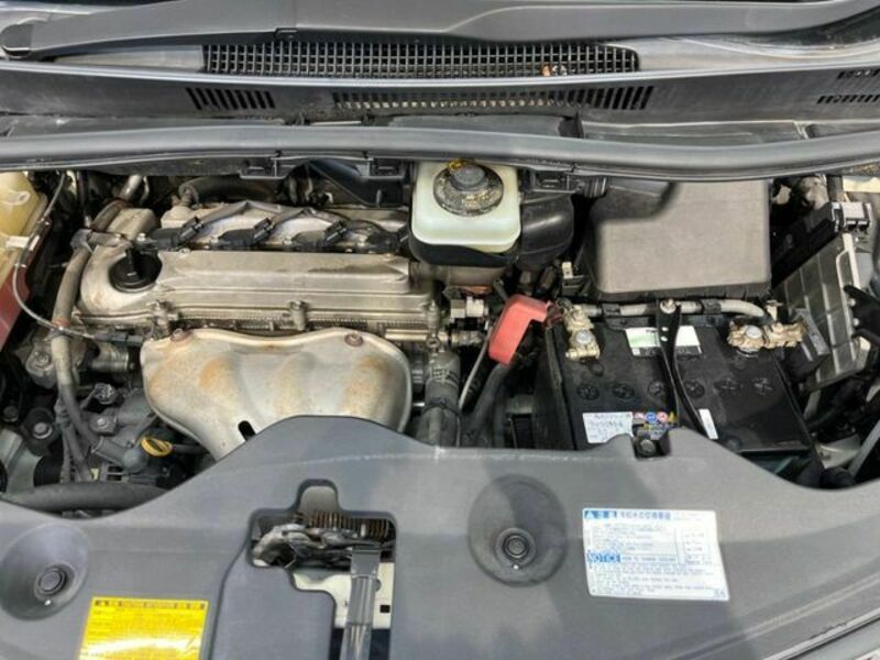 ALPHARD-16
