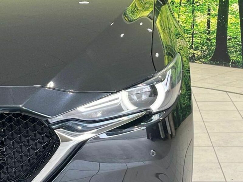 CX-5-11