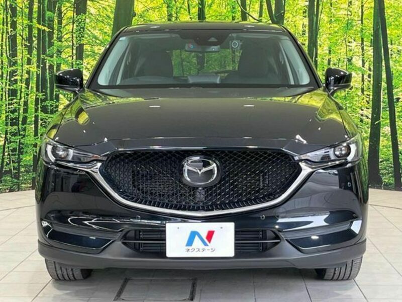 CX-5-13