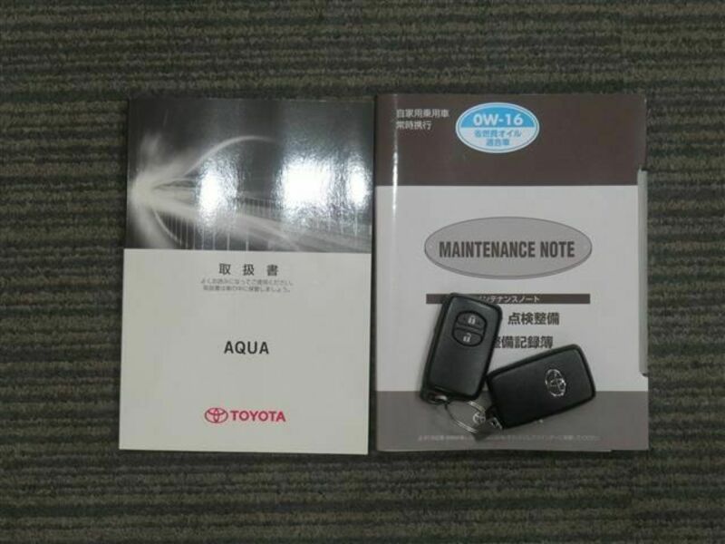 AQUA-19