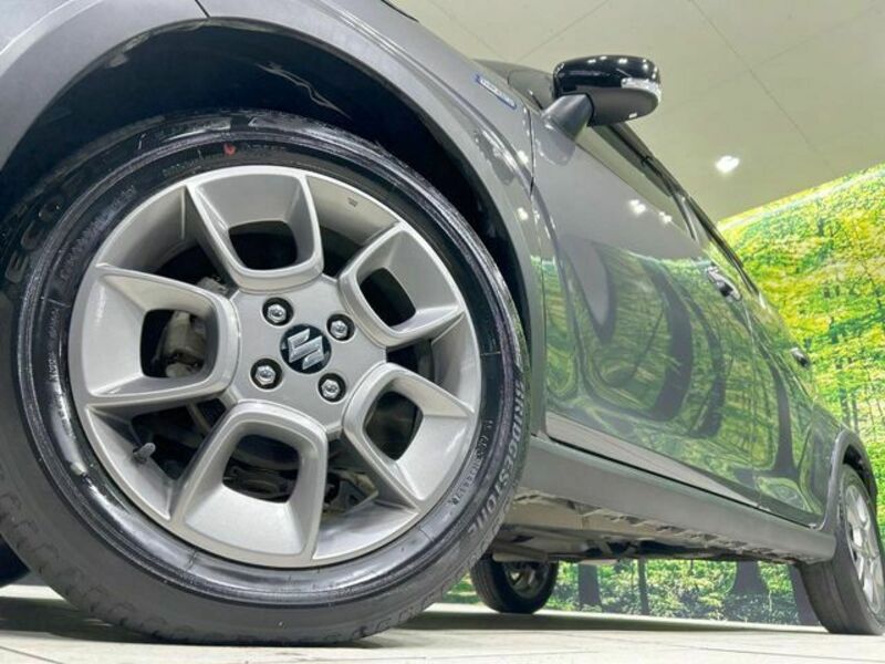 IGNIS-12