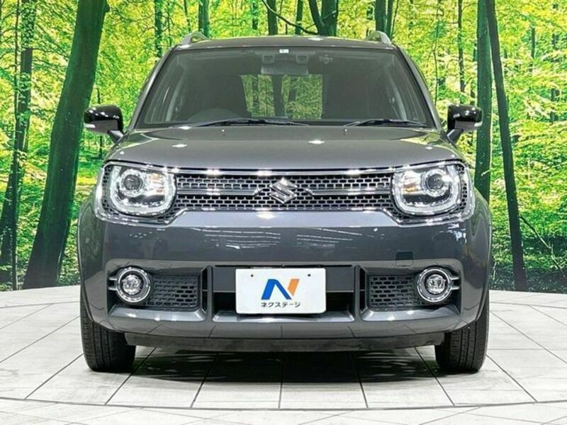 IGNIS-13