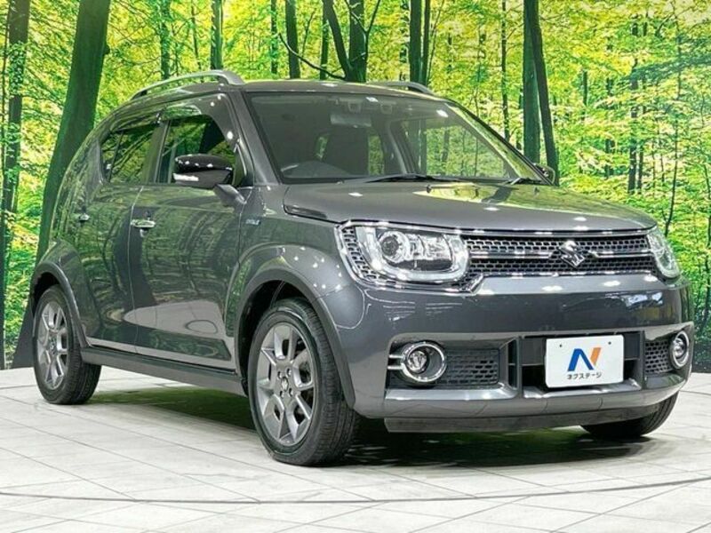 IGNIS-15