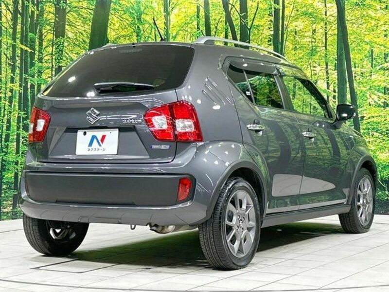 IGNIS-16
