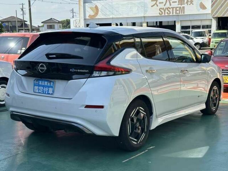 LEAF-12