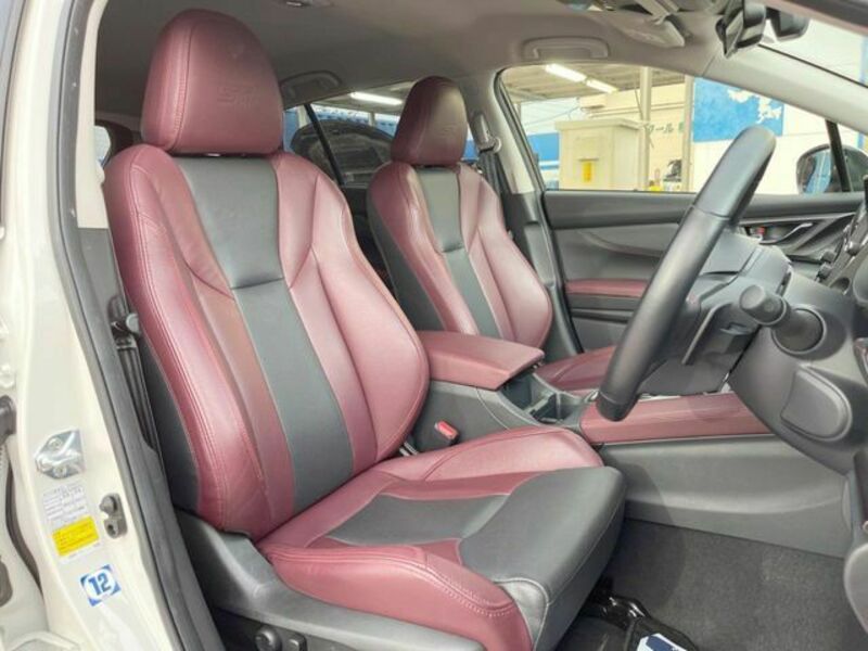 LEVORG-8