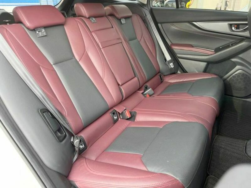 LEVORG-9