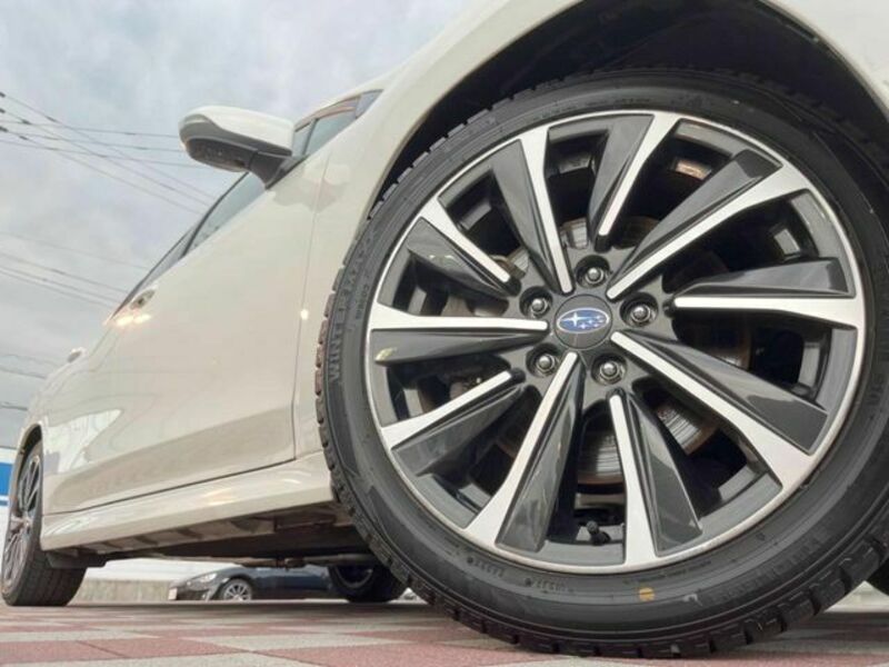 LEVORG-12