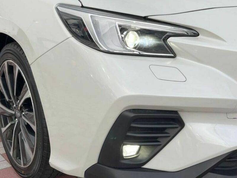 LEVORG-13
