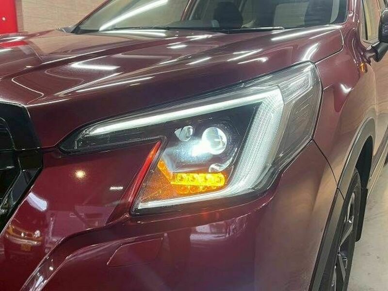 FORESTER-10