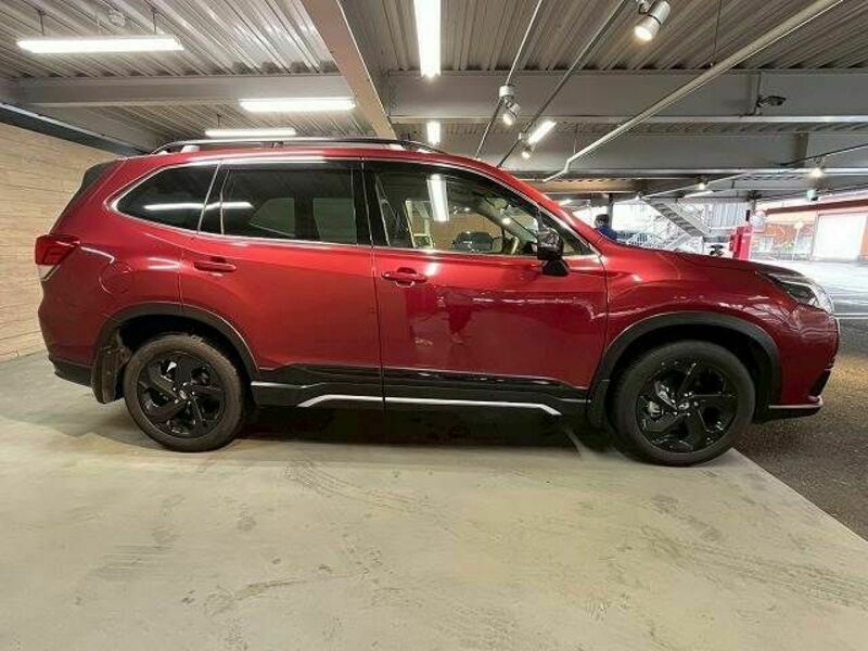 FORESTER-17