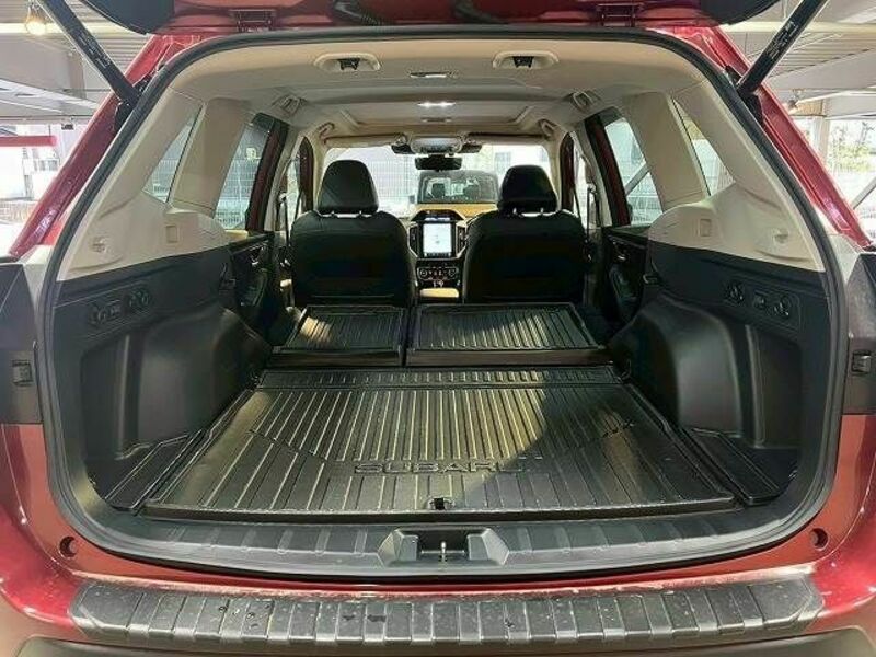 FORESTER-19