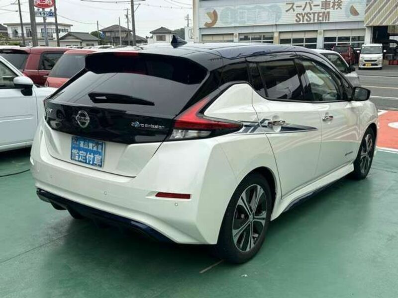 LEAF-12