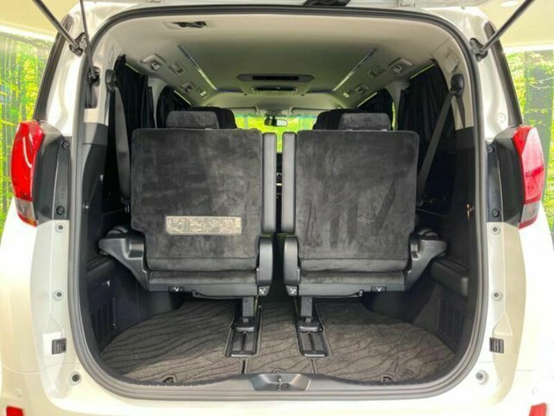 ALPHARD-10