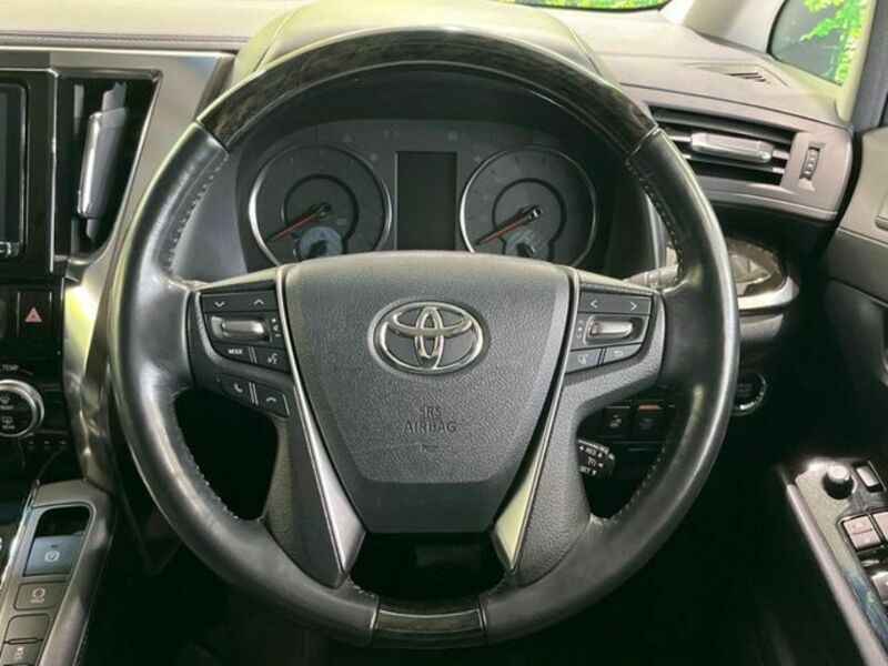 ALPHARD-11