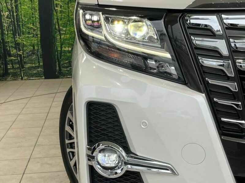 ALPHARD-12