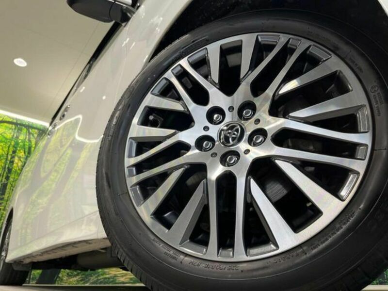 ALPHARD-13