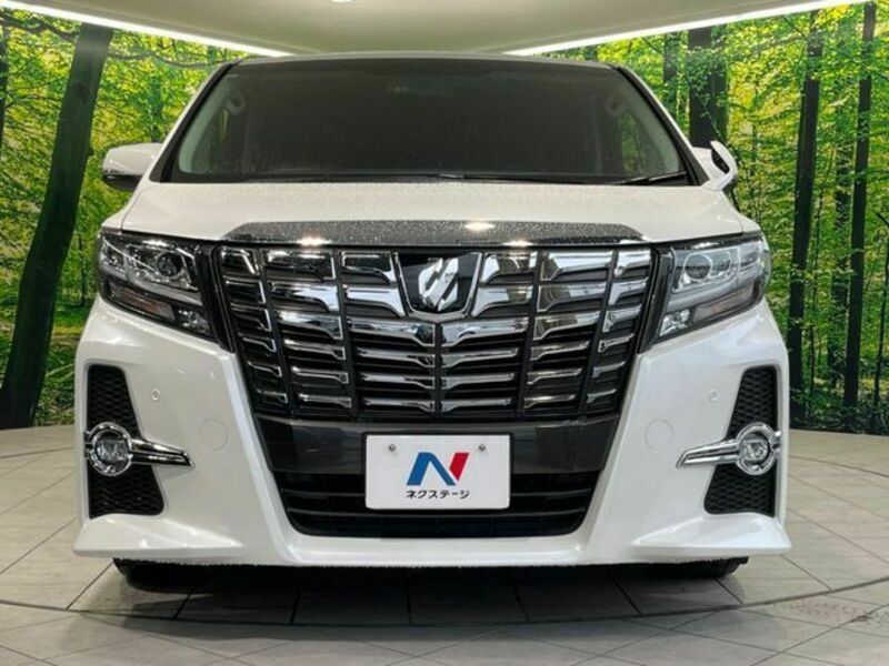 ALPHARD-14