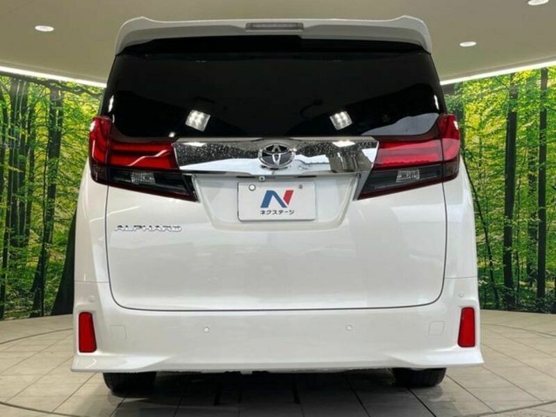 ALPHARD-15