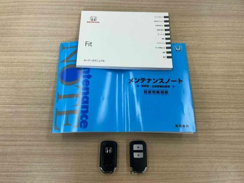 FIT-29