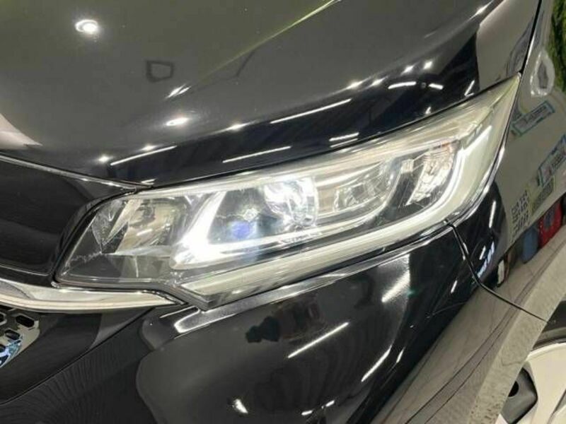 FREED HYBRID-12