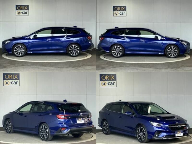 LEVORG-3