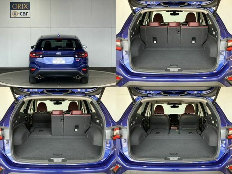 LEVORG-5
