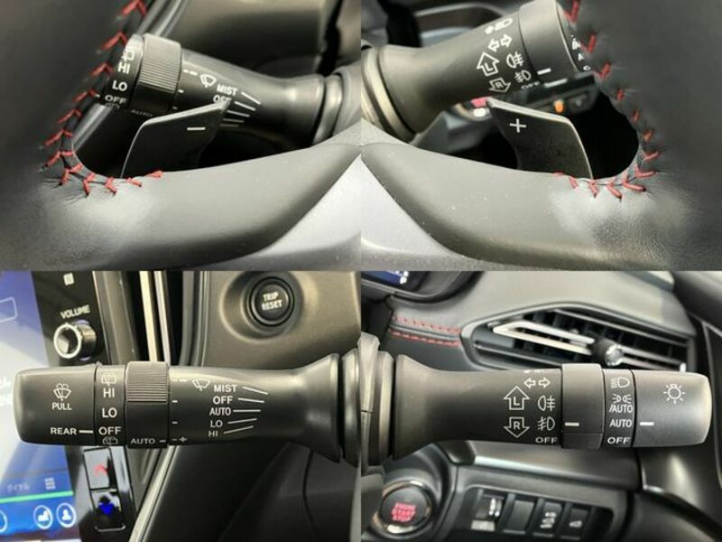 LEVORG-12