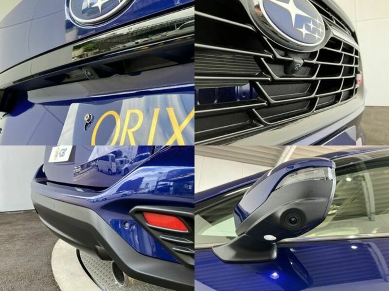 LEVORG-25