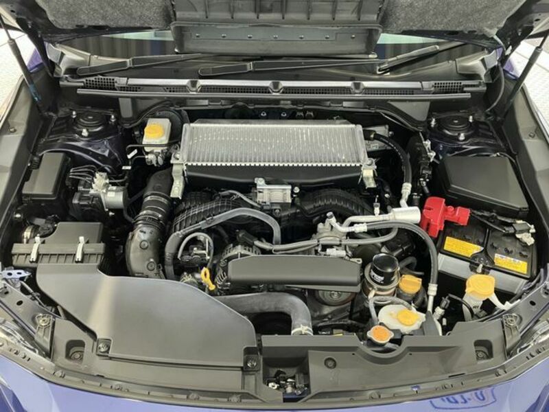 LEVORG-27