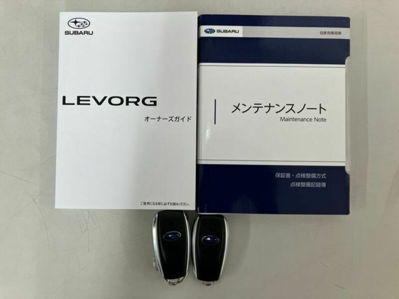 LEVORG-28