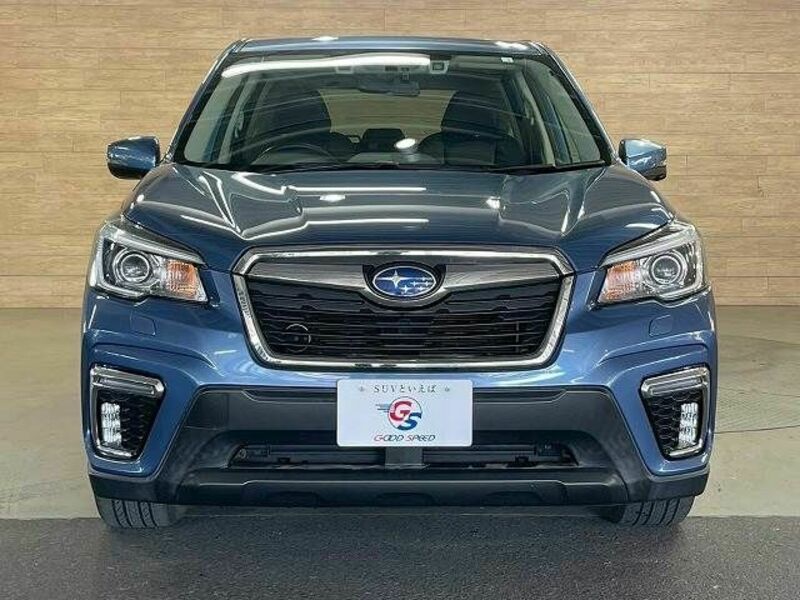 FORESTER-16