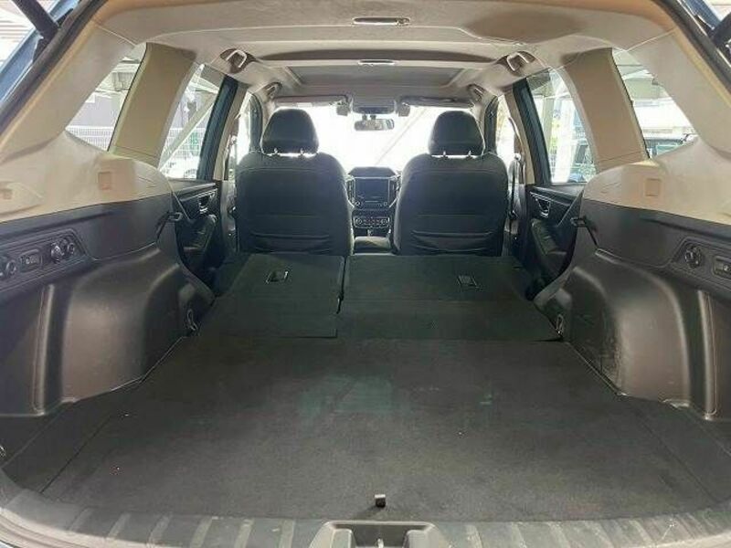 FORESTER-19