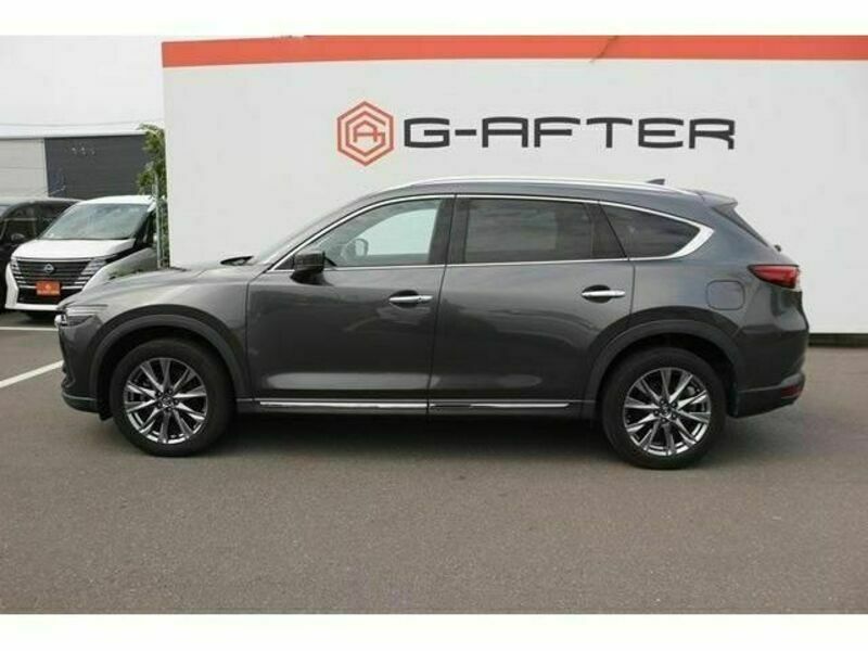 CX-8