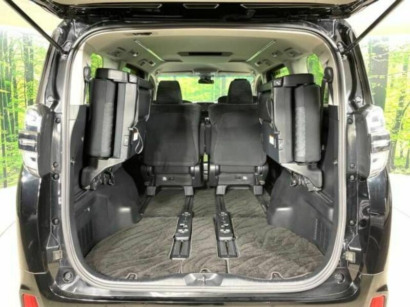 VELLFIRE-10
