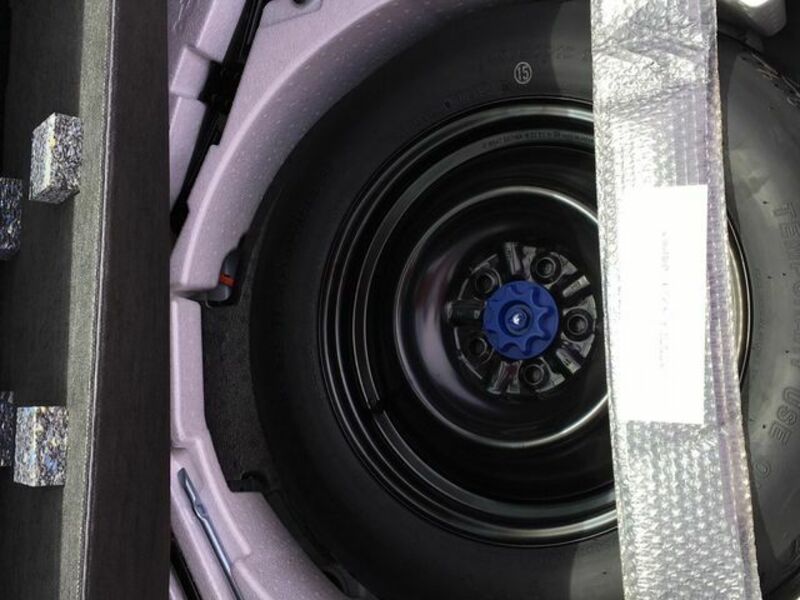 PRIUS-13