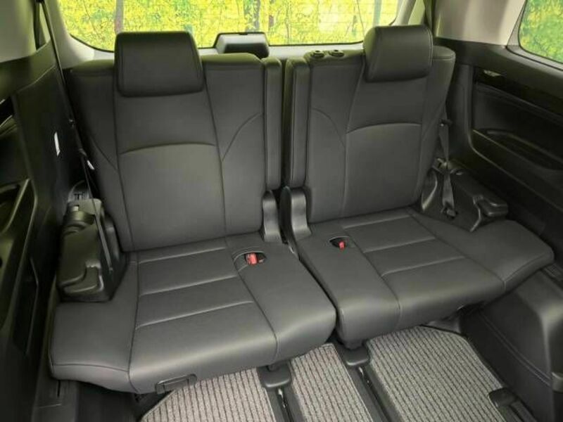 ALPHARD-10