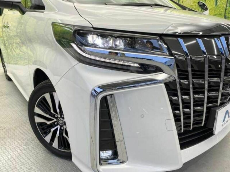 ALPHARD-13