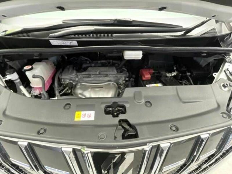 ALPHARD-18