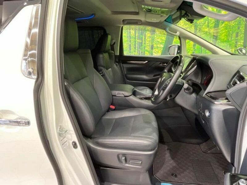 ALPHARD-7