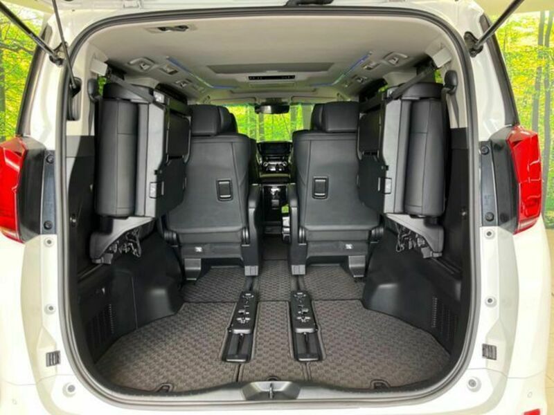 ALPHARD-10